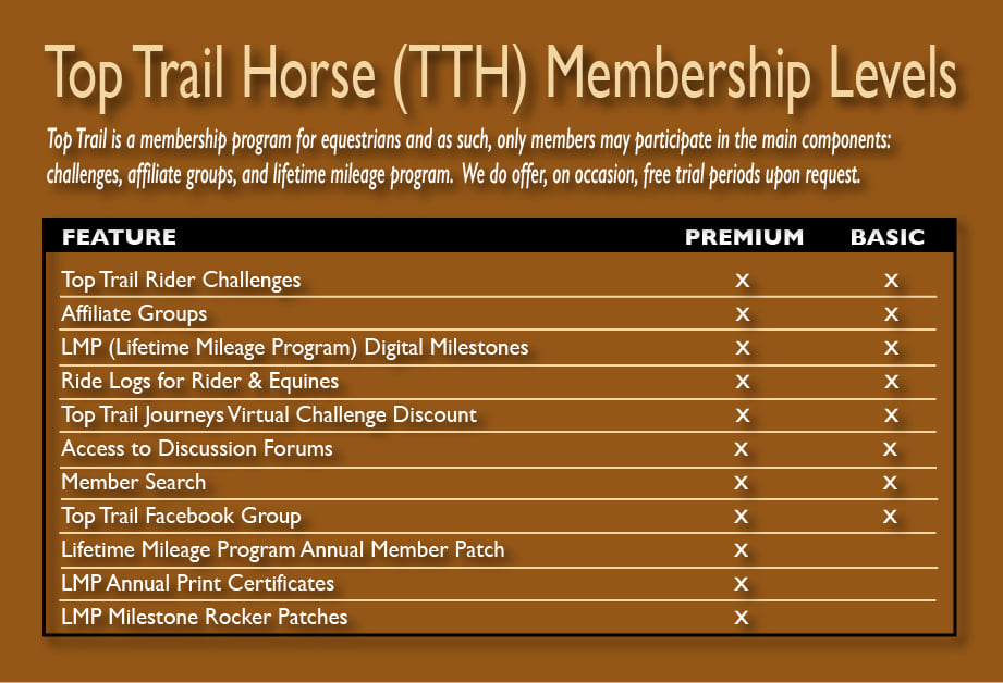 TTH Member Level Chart